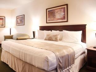 Best Western Jacksonville Inn Chambre photo